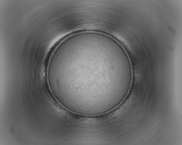 X0000113251070200910011341