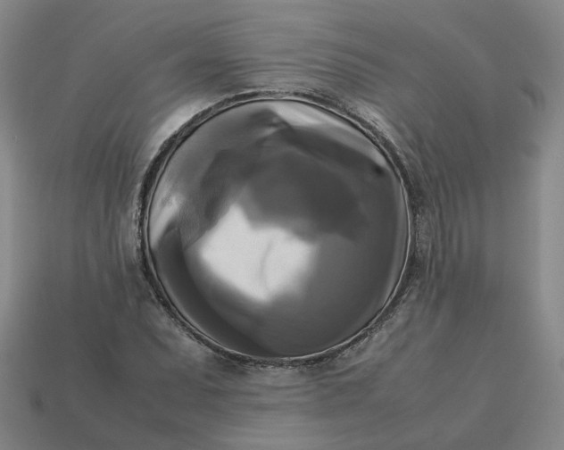 X0000113251071200910011341