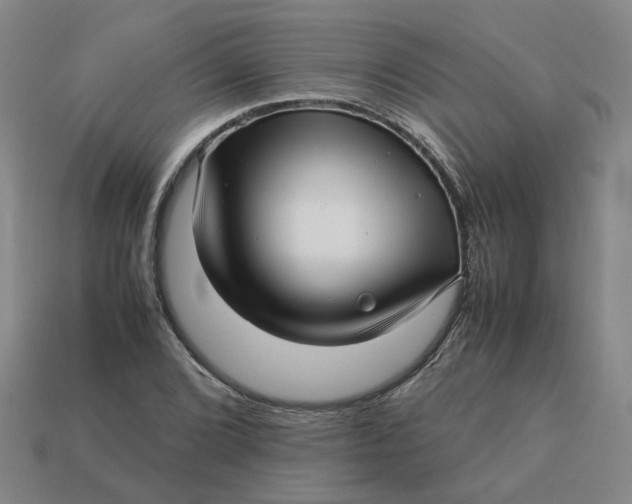 X0000113251072200910011341