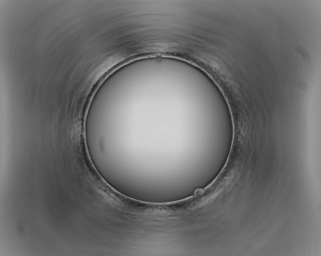 X0000113251073200910011341