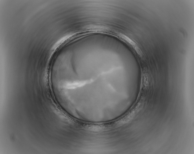 X0000113251074200910011341