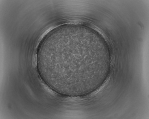 X0000113251075200910011341