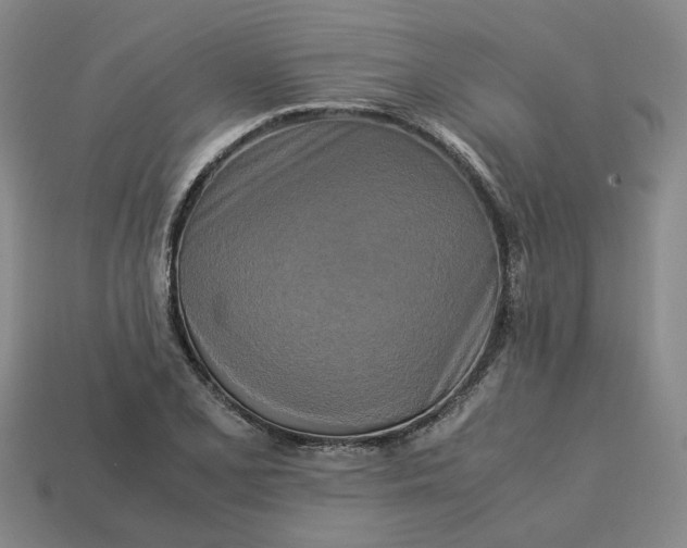 X0000113251077200910011341