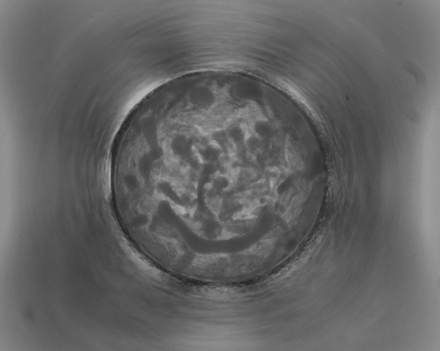 X0000113251079200910011341