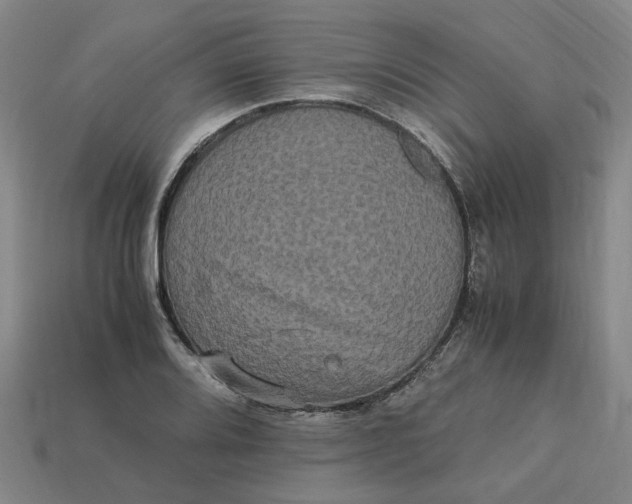 X0000113251080200910011341