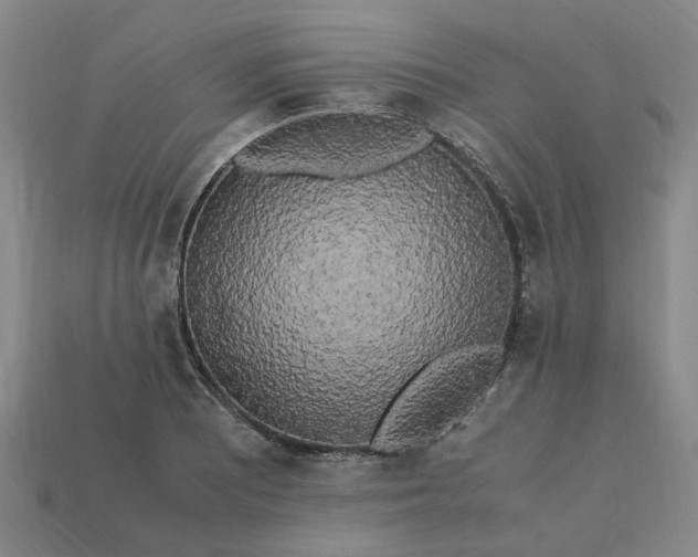 X0000113251081200910011341