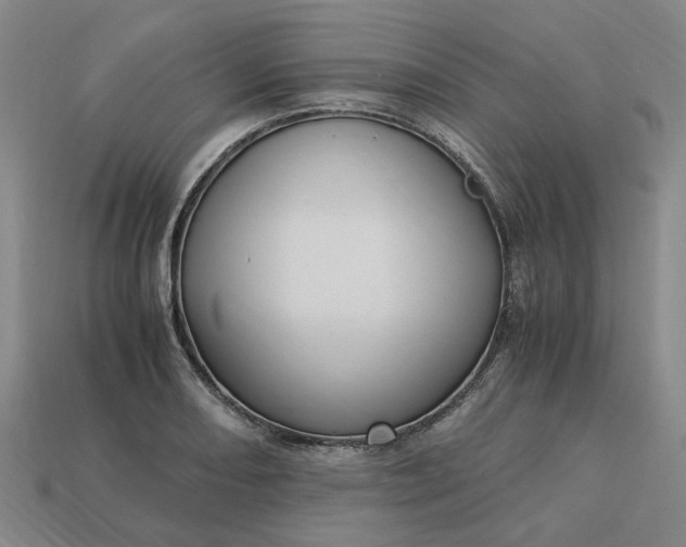 X0000113251082200910011341