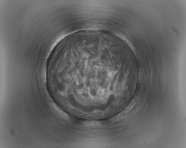 X0000113251083200910011341