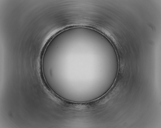 X0000113251085200910011341