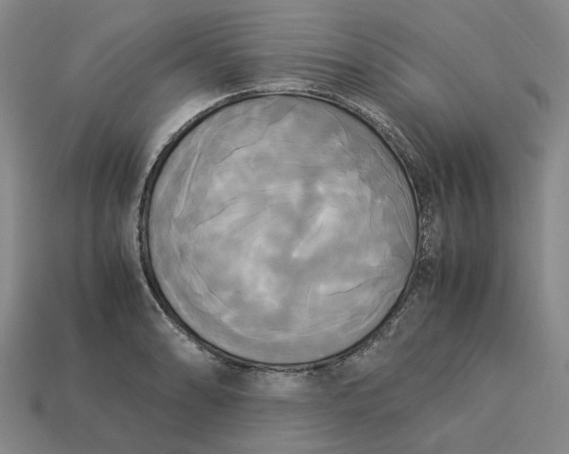 X0000113251086200910011341