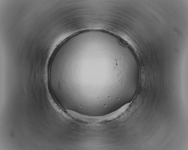 X0000113251088200910011341