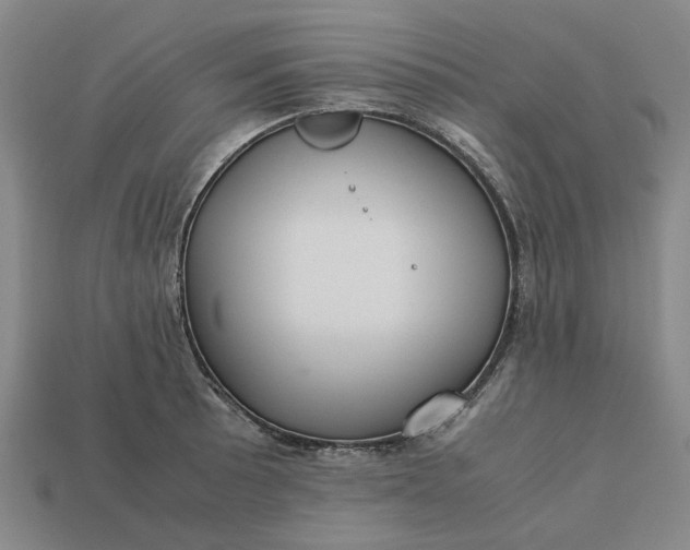 X0000113251089200910011341