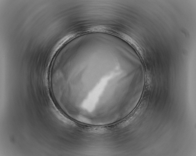 X0000113251090200910011341