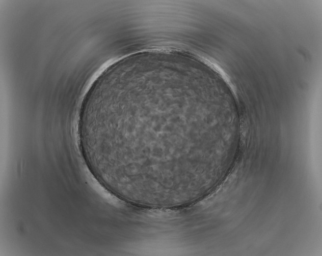 X0000113251091200910011341