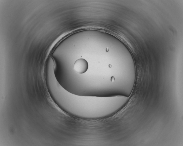 X0000113251092200910011341