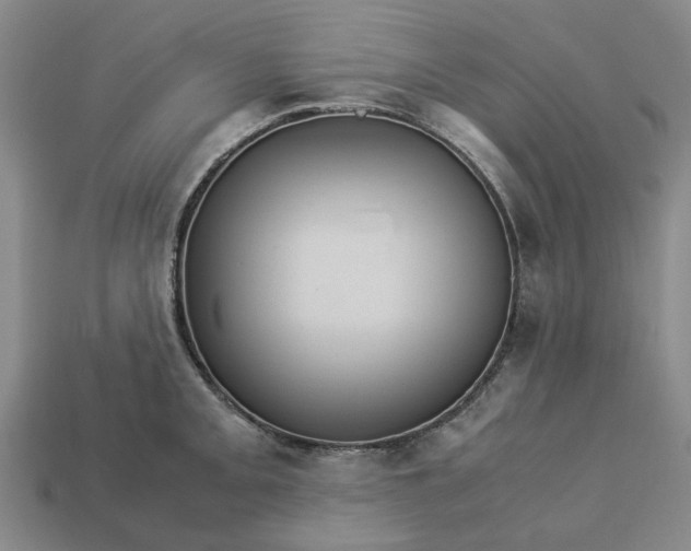 X0000113251093200910011341