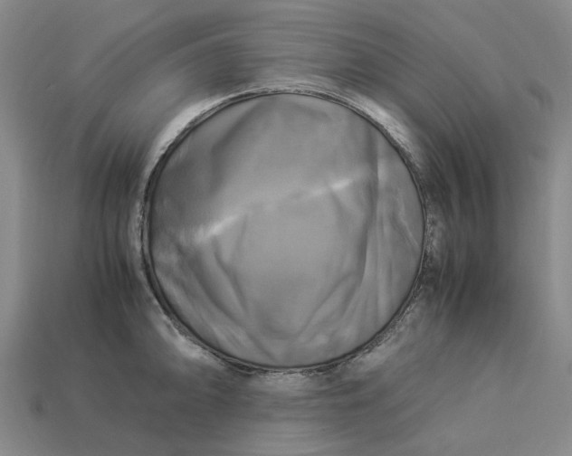 X0000113251094200910011341