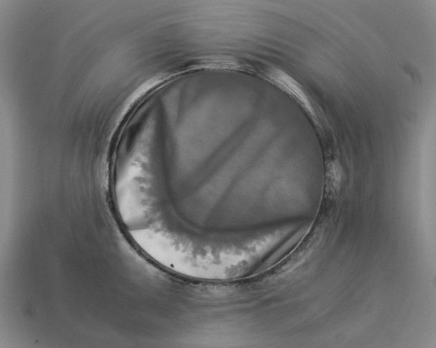 X0000113251095200910011341