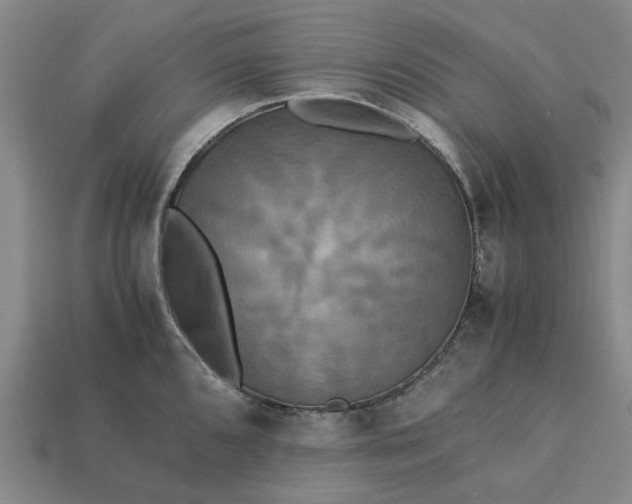 X0000113251096200910011341