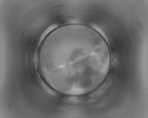 X0000113251098200910011341