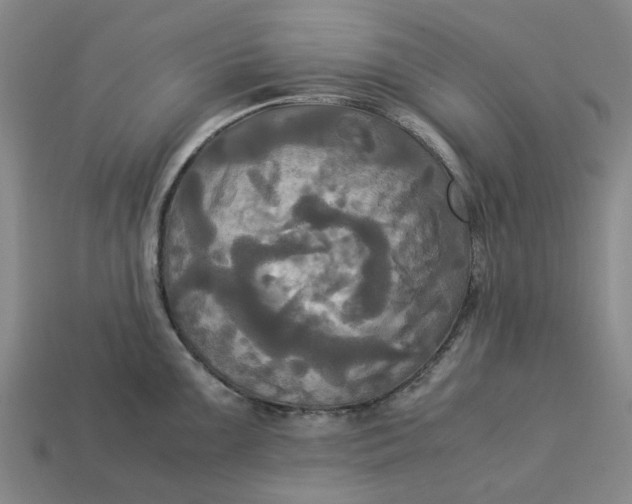 X0000113251099200910011341