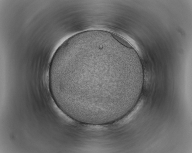 X0000113251100200910011341