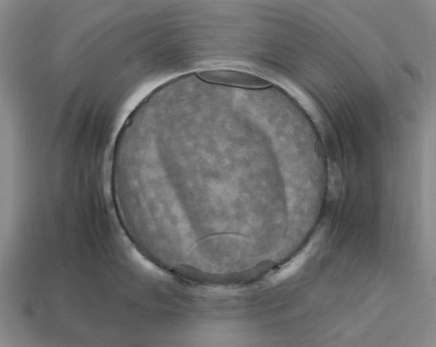 X0000113251102200910011341