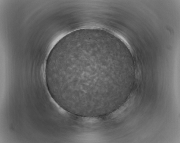 X0000113251103200910011341