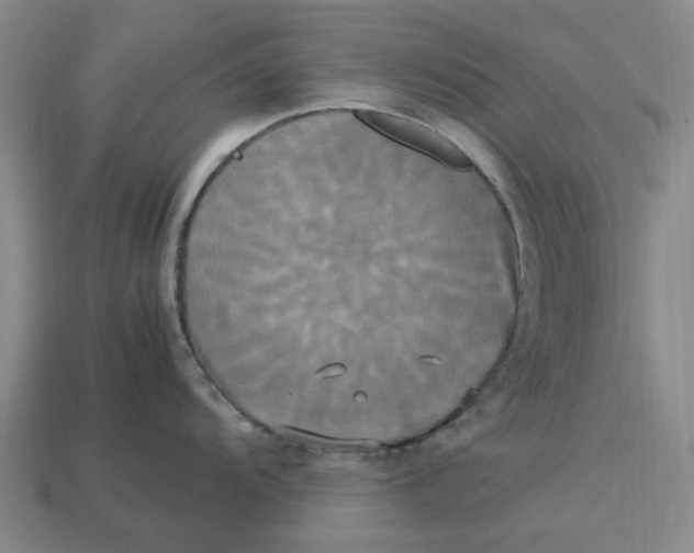 X0000113251104200910011341