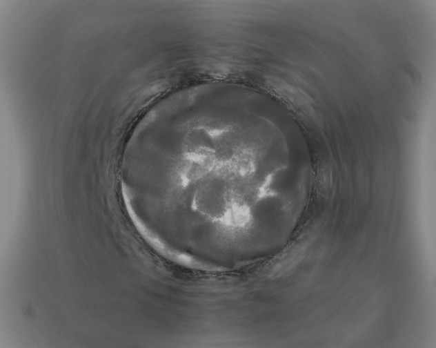 X0000113251105200910011340