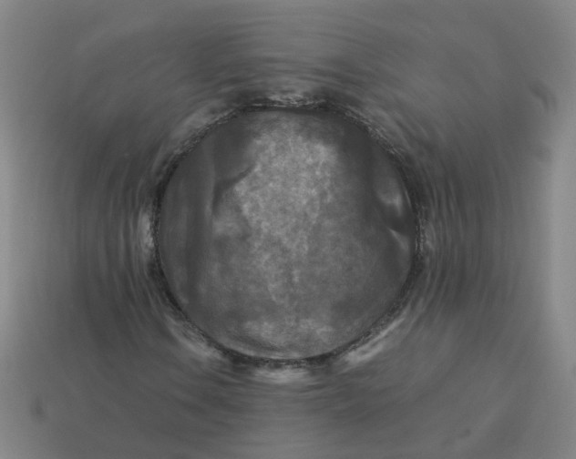 X0000113251106200910011340