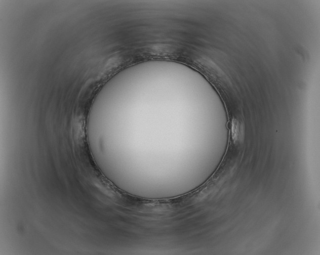 X0000113251107200910011340