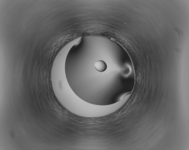 X0000113251108200910011340