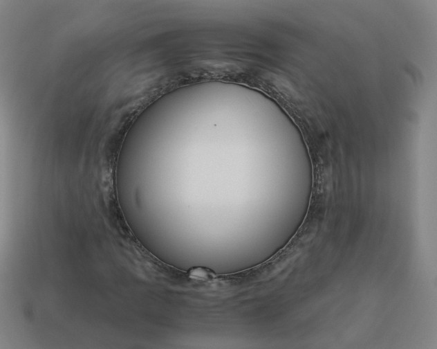 X0000113251109200910011340