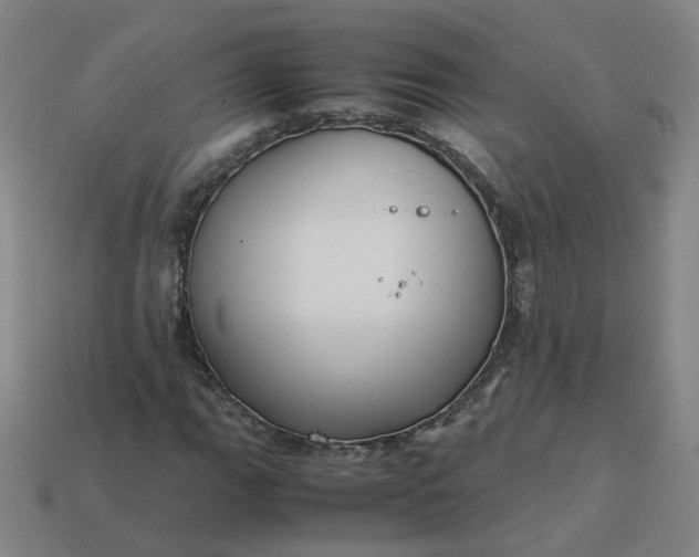 X0000113251111200910011340