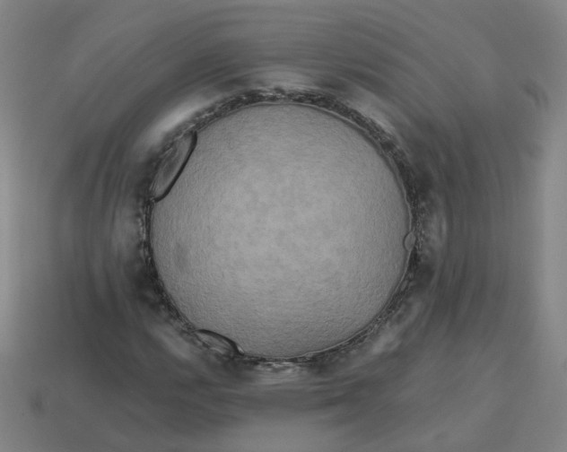 X0000113251112200910011340