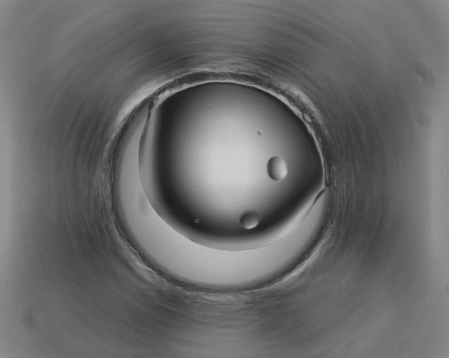 X0000113251114200910011340