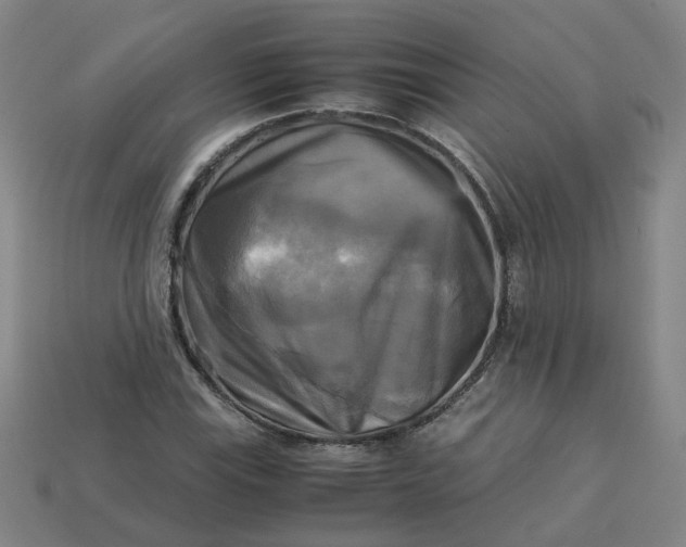 X0000113251115200910011340