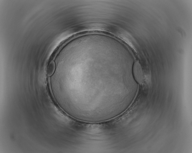 X0000113251116200910011340