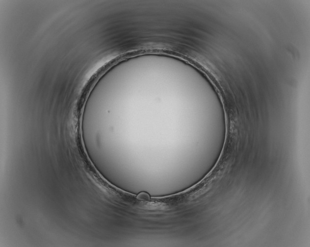 X0000113251119200910011340