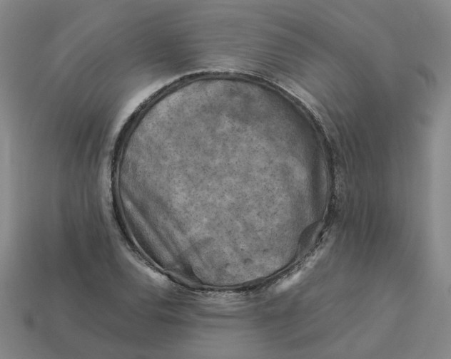 X0000113251120200910011340