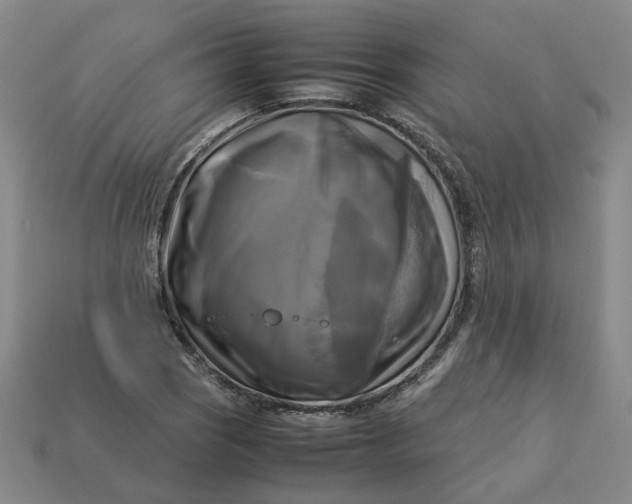 X0000113251121200910011340