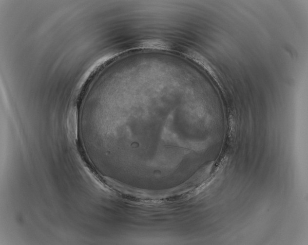 X0000113251123200910011341