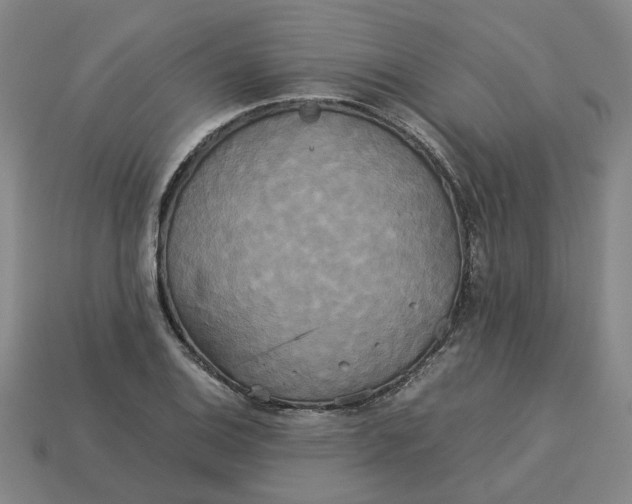 X0000113251124200910011341