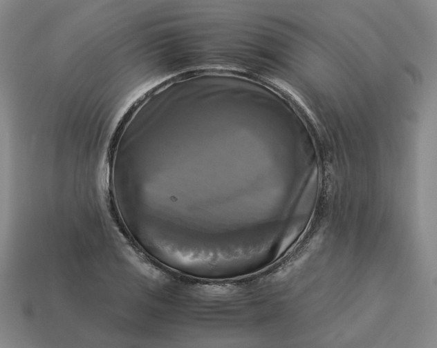 X0000113251125200910011341