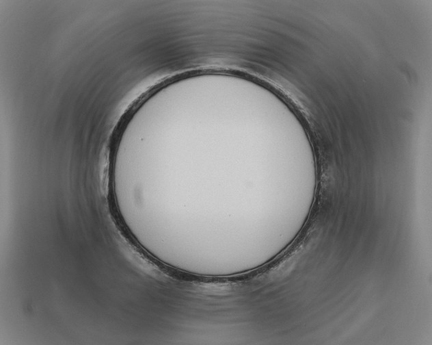 X0000113251126200910011341