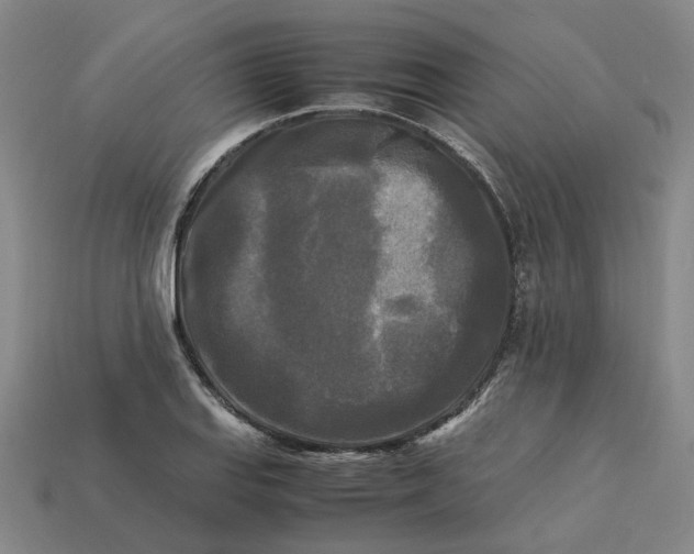 X0000113251127200910011341