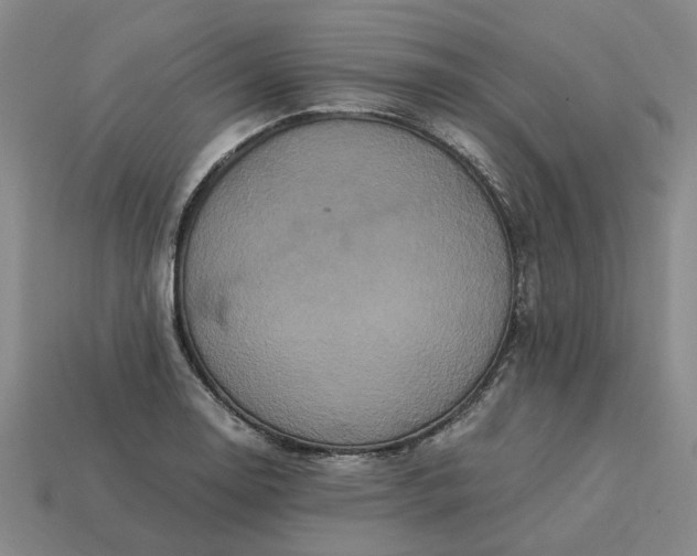 X0000113251130200910011341