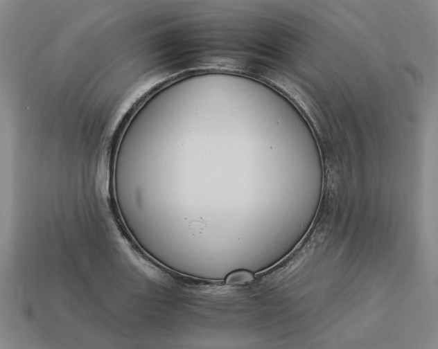 X0000113251131200910011341