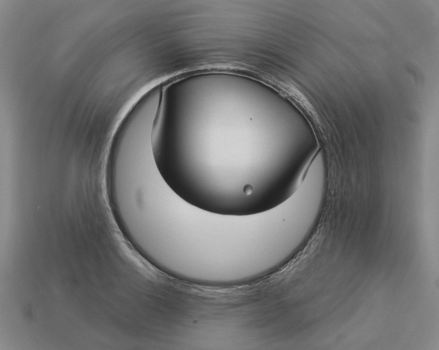 X0000113251132200910011341